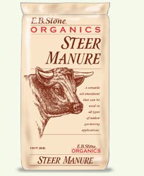 Steer Manure