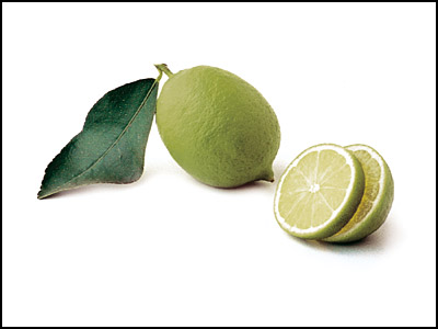 Bearss Seedless Lime